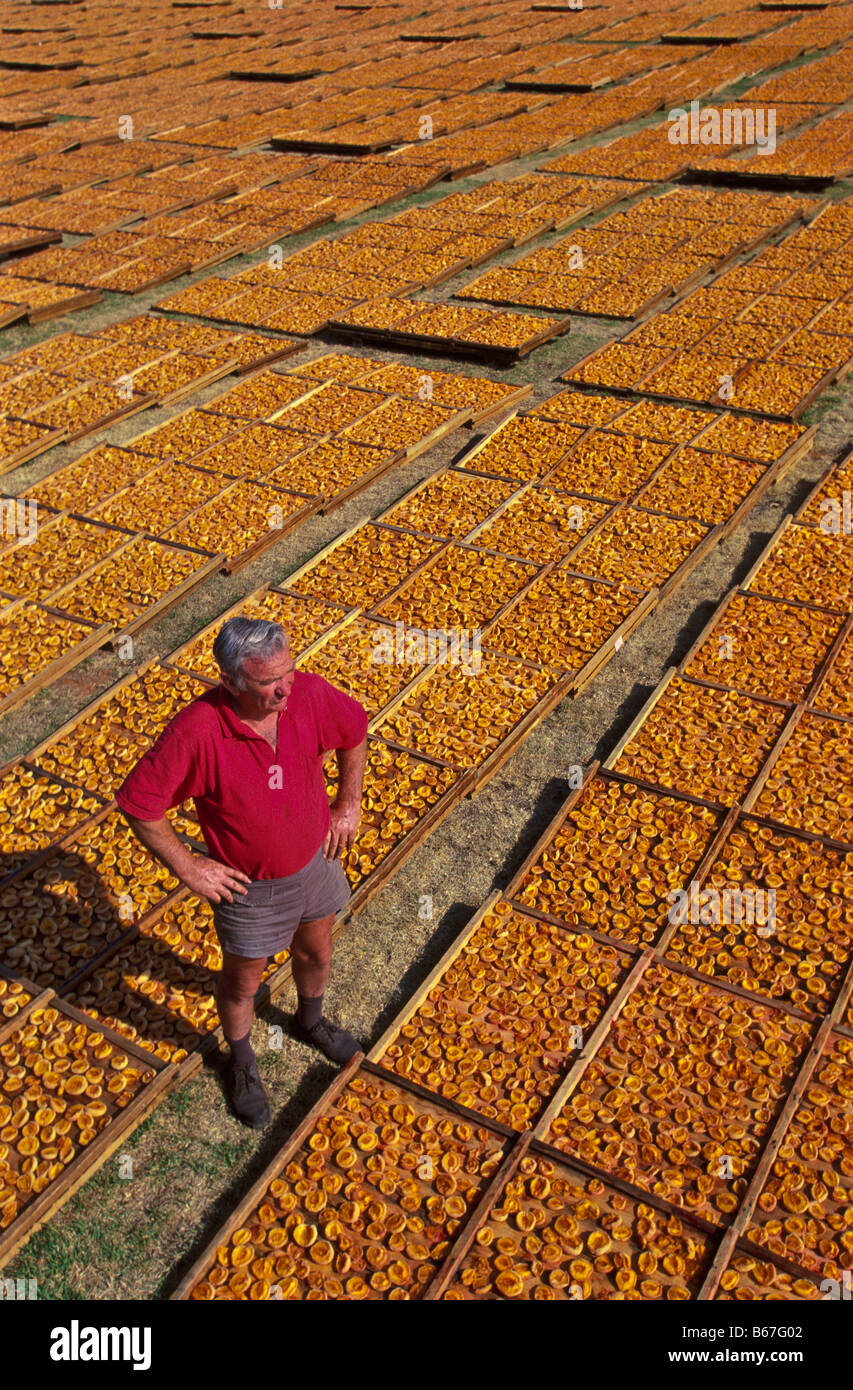 Fruit farm australia hires stock photography and images Alamy