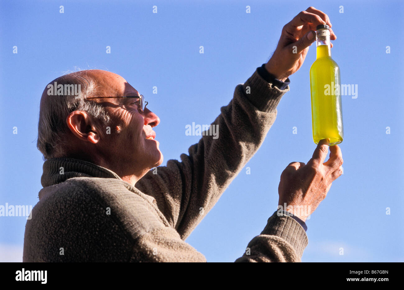 Fresh olive oil, Australia Stock Photo Alamy