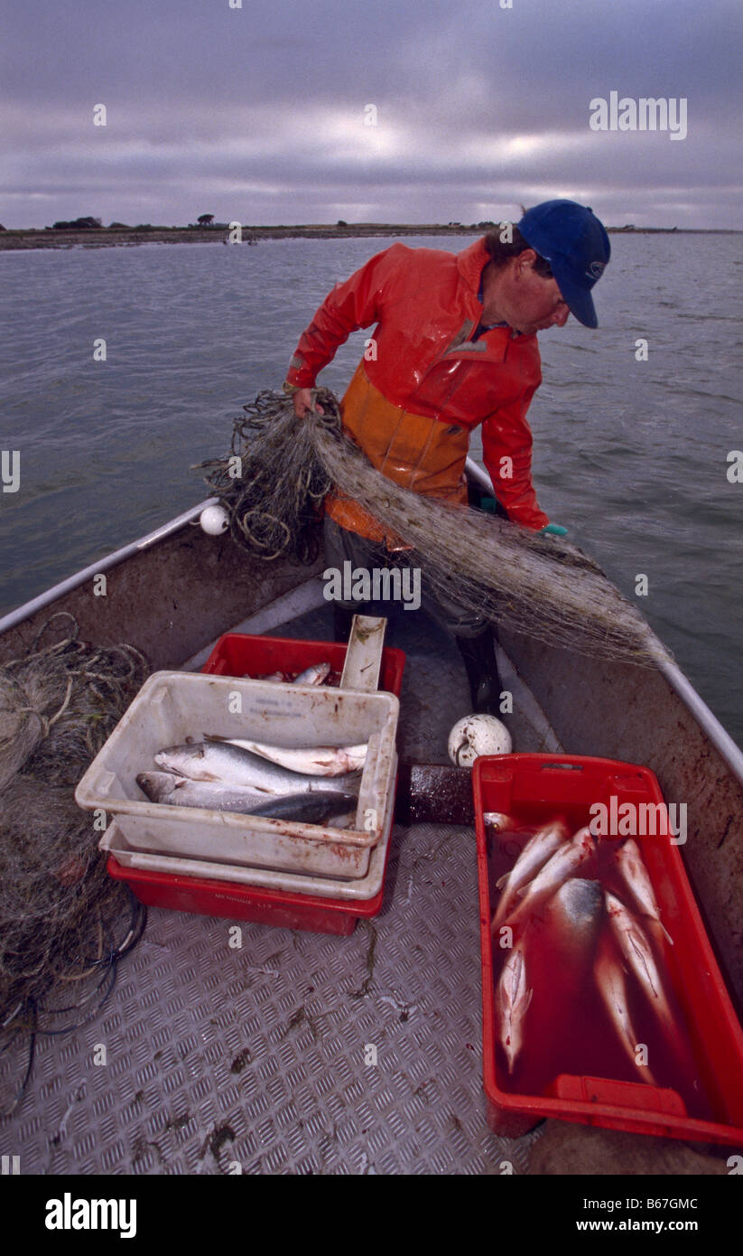 Professional commercial fisherman hires stock photography and images