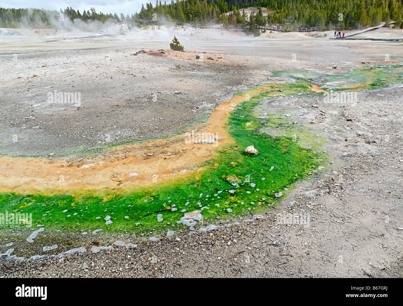 Runoff of a hot spring with colorful algae and bacteria. Stock Photo
