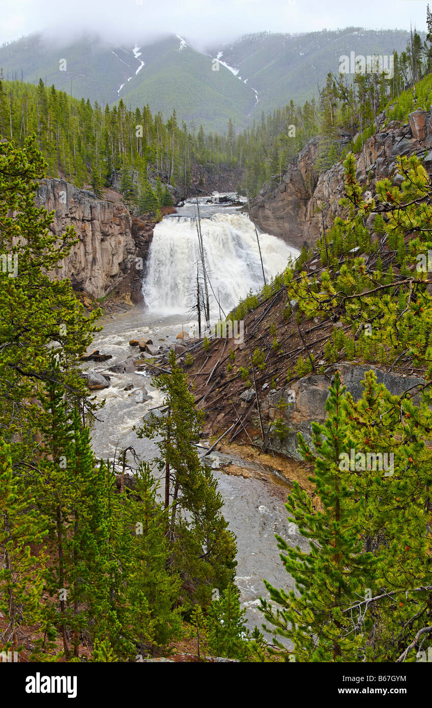 Full View of Gibbon Falls with morning fog in Yellowstone National Park. Stock Photo