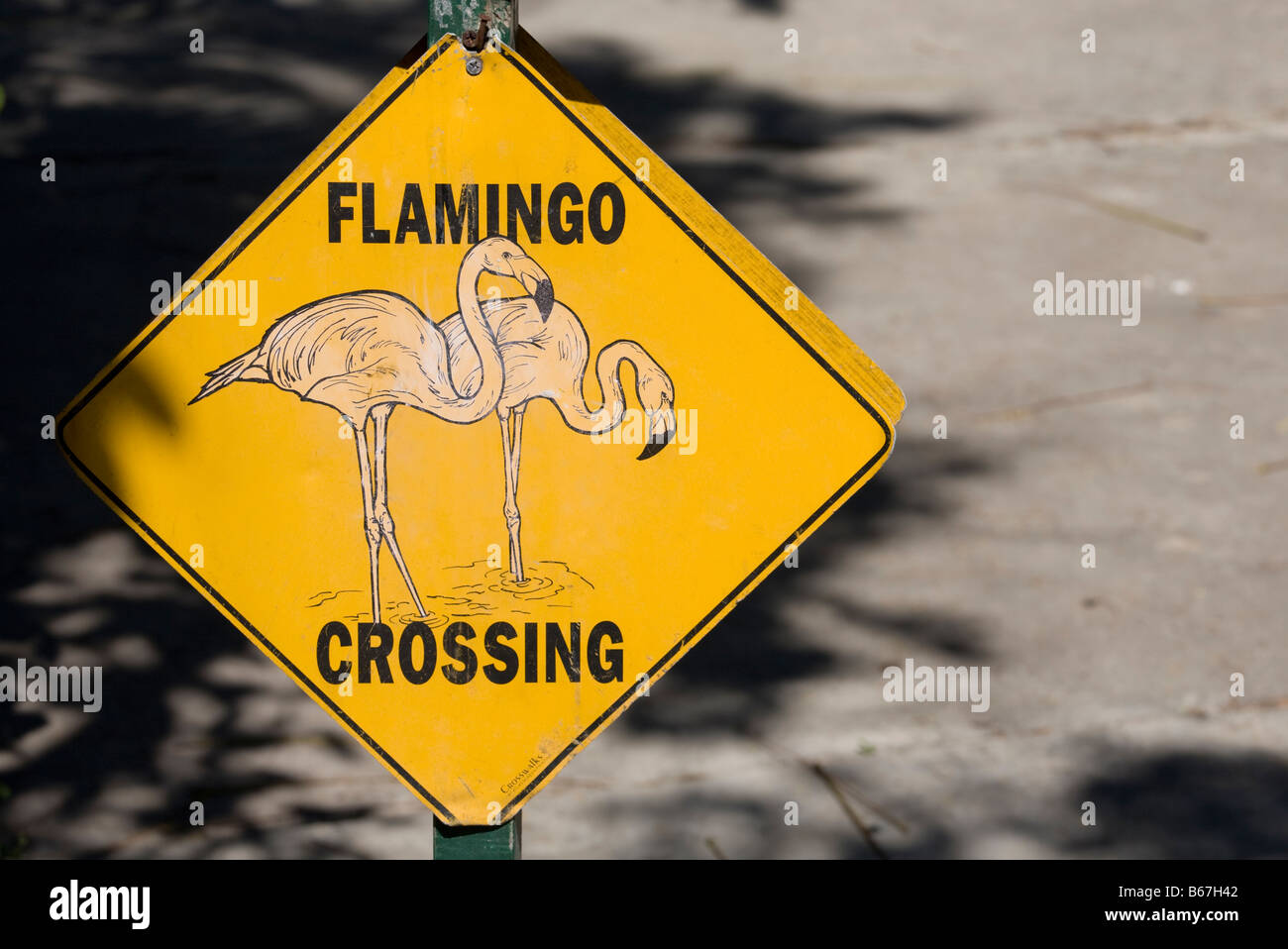 Bahamas New Providence Island Nassau Flamingo Crossing sign in pen for