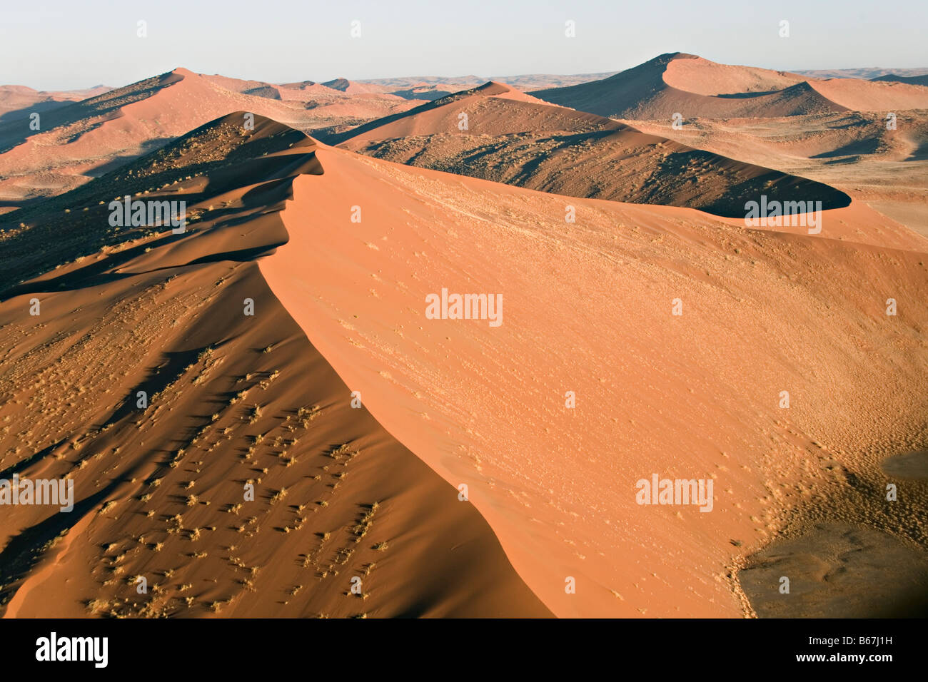 Sand dune in Namib Desert Sossusvlei area Namib Naukluft National Park ...
