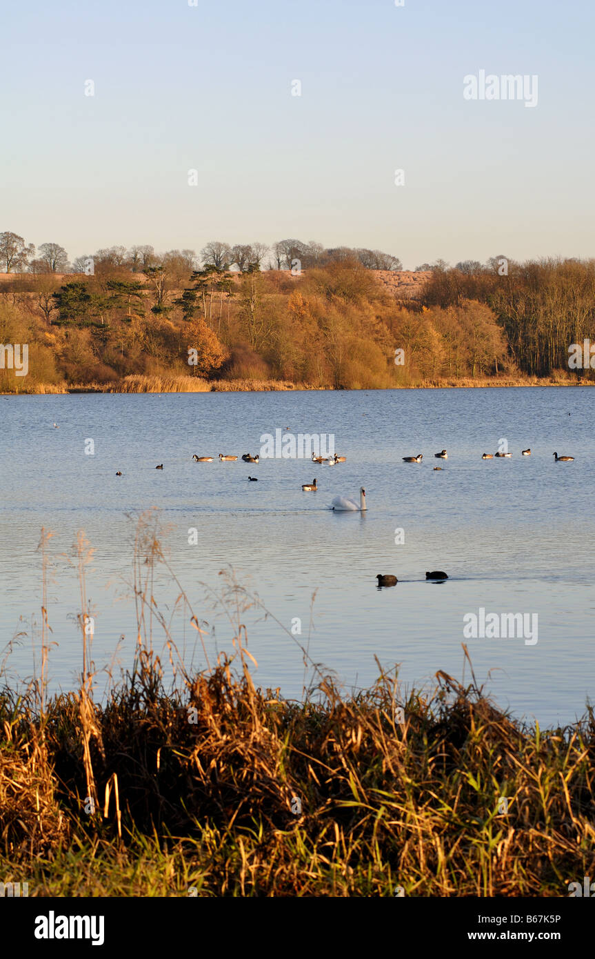 Ravensthorpe Reservoir in winter Northamptonshire England UK Stock