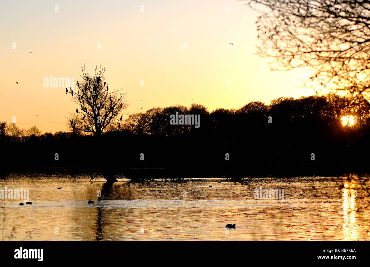 Ravensthorpe Reservoir at sunset in winter, Northamptonshire, England
