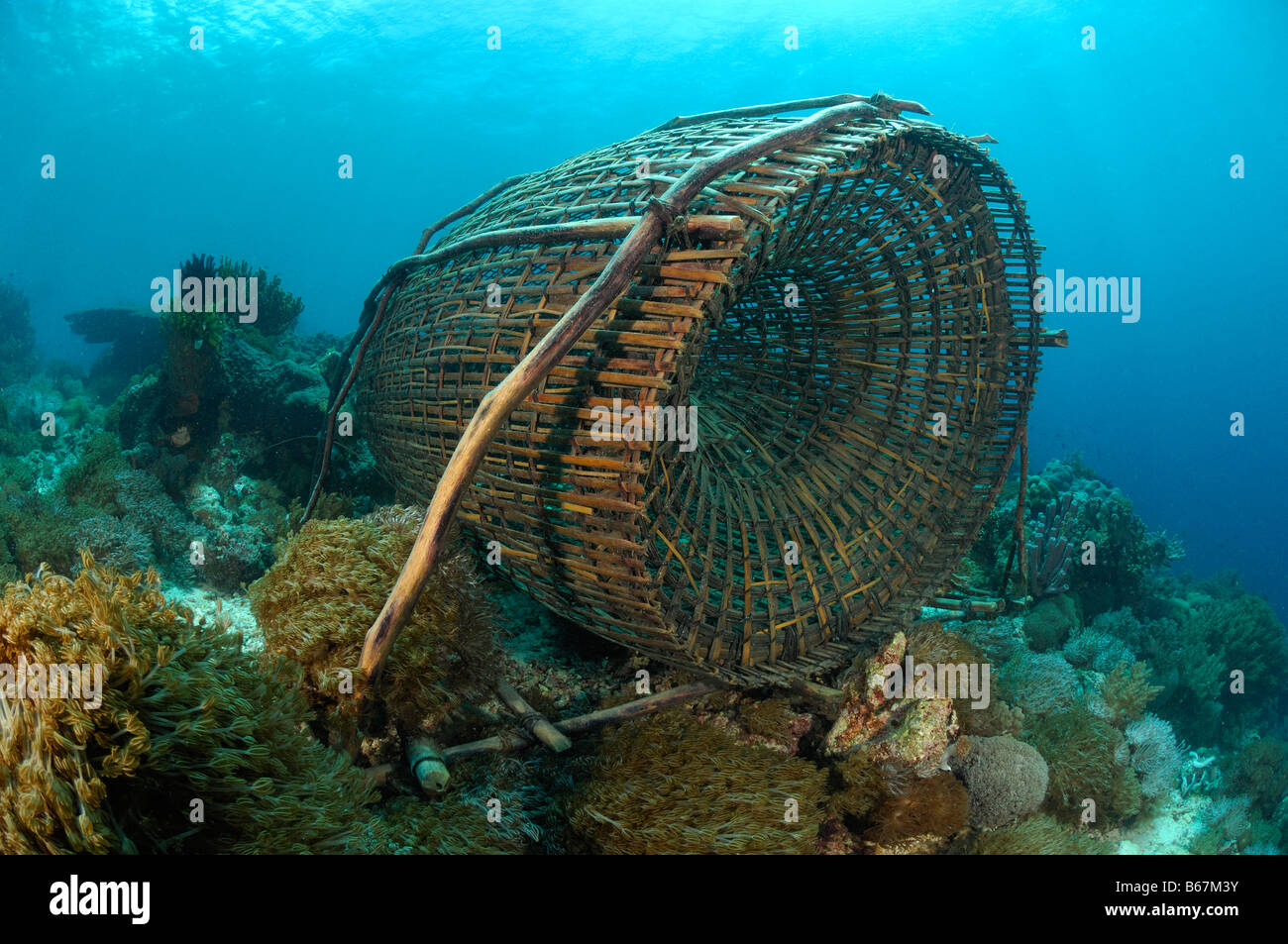 2,630 Underwater Fish Trap Images, Stock Photos, 3D objects