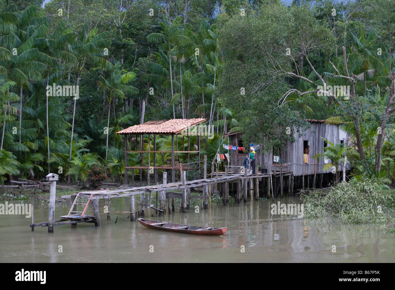 House on stilts on Amazon River and Tropical Rainforest, Combo Island
