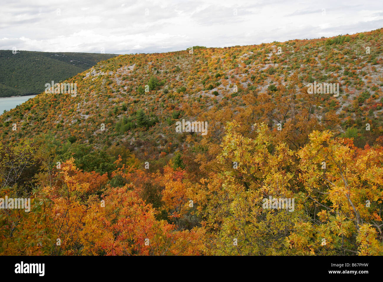 autumn leafs leaf colour colour Kroatien Croatia europe european outdoor outdoors exterior mediterranean europe europe mediter Stock Photo