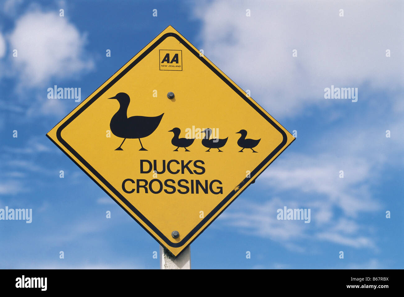 Traffic sign showing ducks, Ducks Crossing, North Island, New Zealand Stock Photo