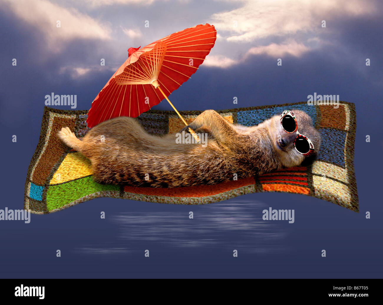 Magic carpet ride hi-res stock photography and images - Alamy