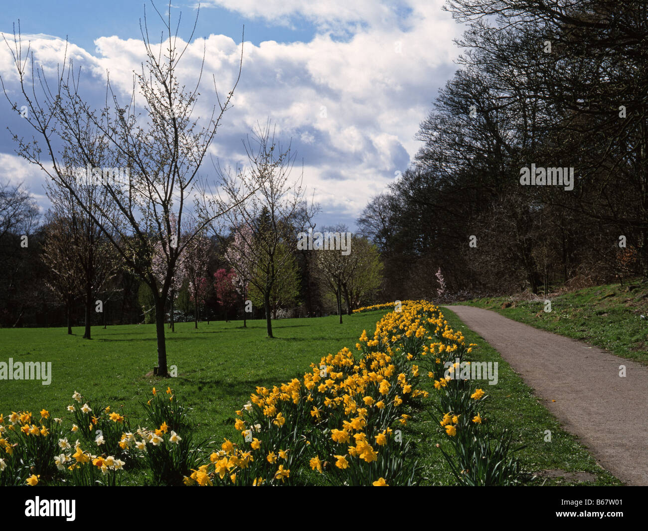 Golden acre park leeds hi-res stock photography and images - Alamy