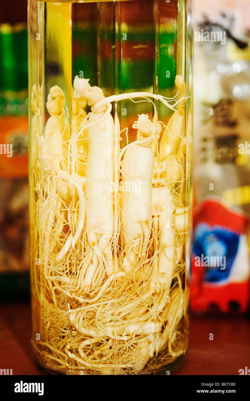 Ginseng wine hires stock photography and images Alamy
