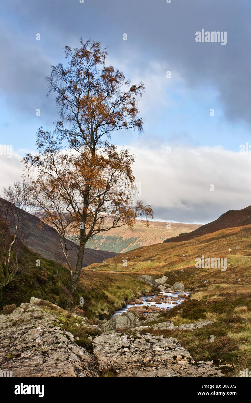 Mountain stream, Glen Lyon, Scotland Stock Photo Alamy