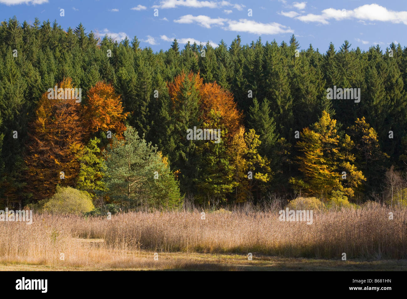 Deininger weiher hi-res stock photography and images - Alamy