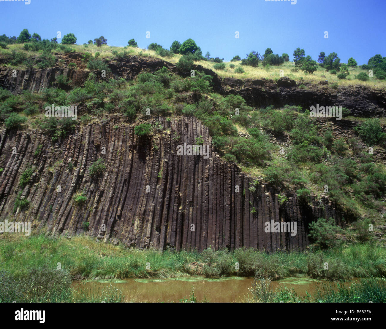 The vertical pipe like rock formation in the Organ Pipes National Park ...