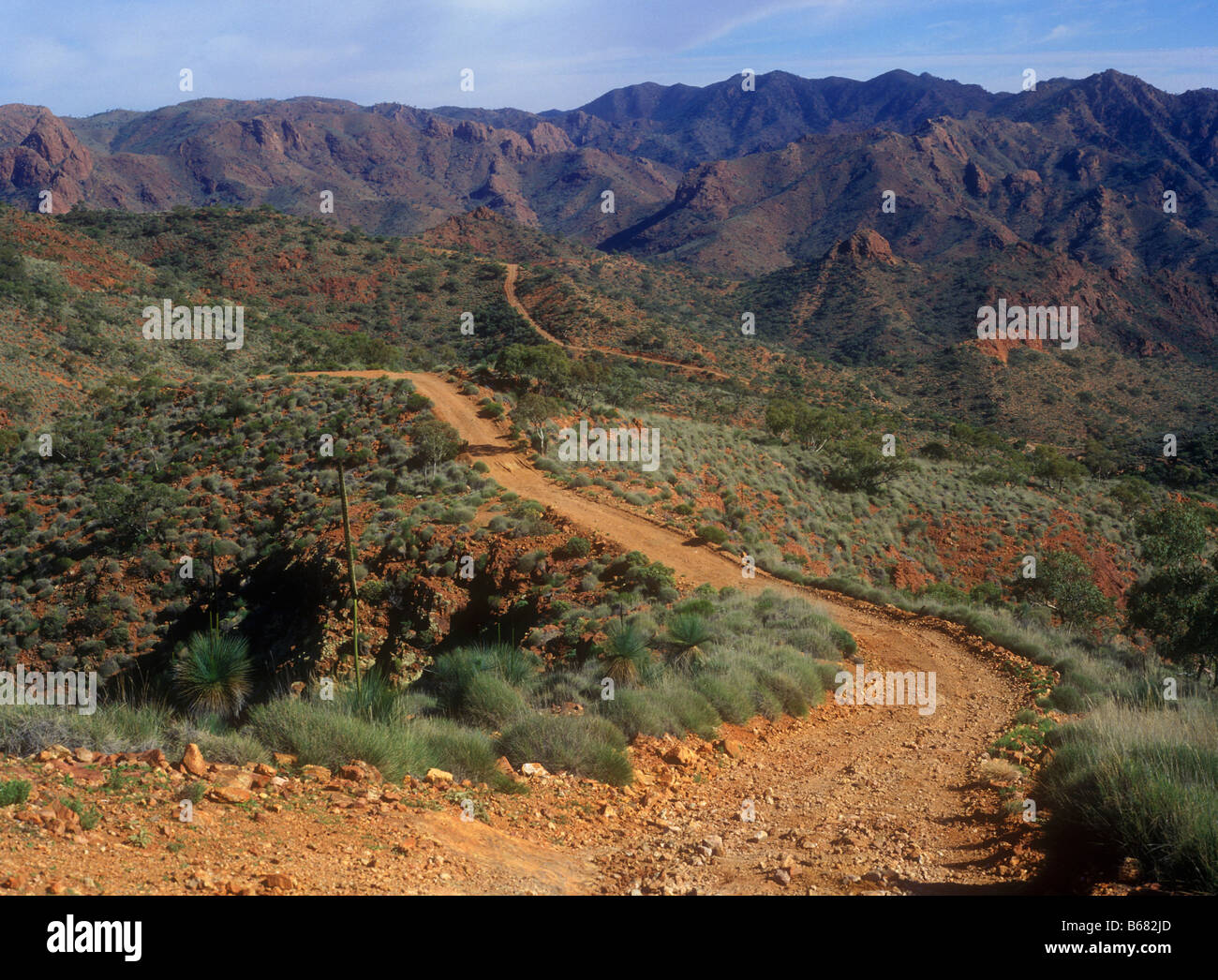 Dirt track leading through Arkaroola Wilderness Sanctuary in northern Flinders Ranges Stock Photo
