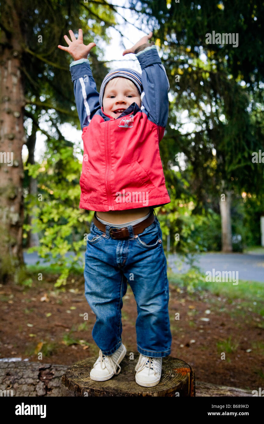 Little boy with raised arms standing on a tree stump Germany September 2008 Stock Photo