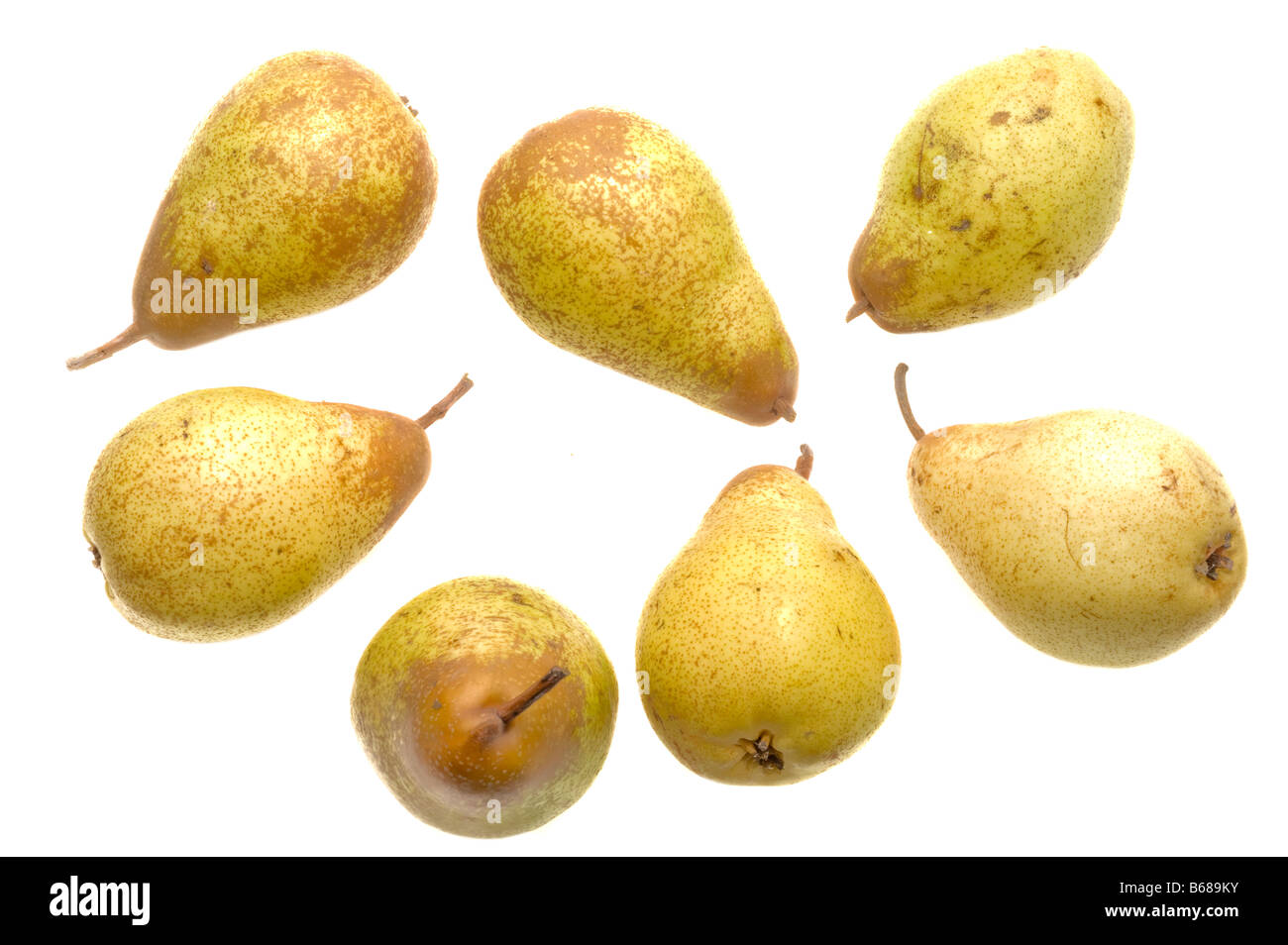 Seven different pears 90 Seven different pears 33