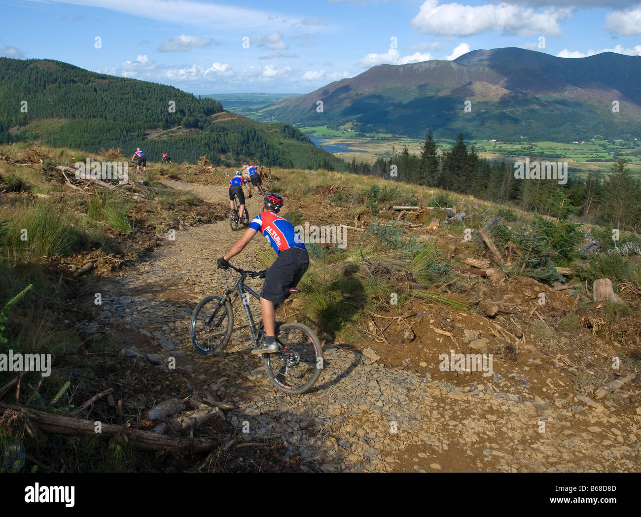 Mountain biker descending on the Altura trails, Whinlatter Forest Park, Keswick, Cumbria Stock