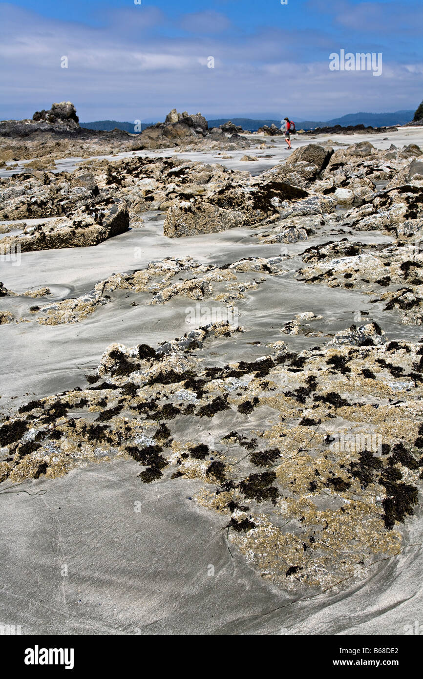 Beach rocks distance hi-res stock photography and images - Alamy