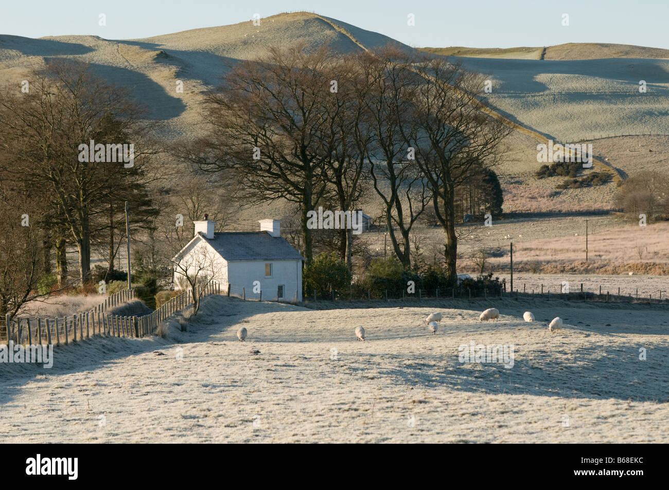 an isolated remote rural farmhouse on a frosty cold winter morning near Pontrhydygroes Ceredigion mid wales UK Stock Photo