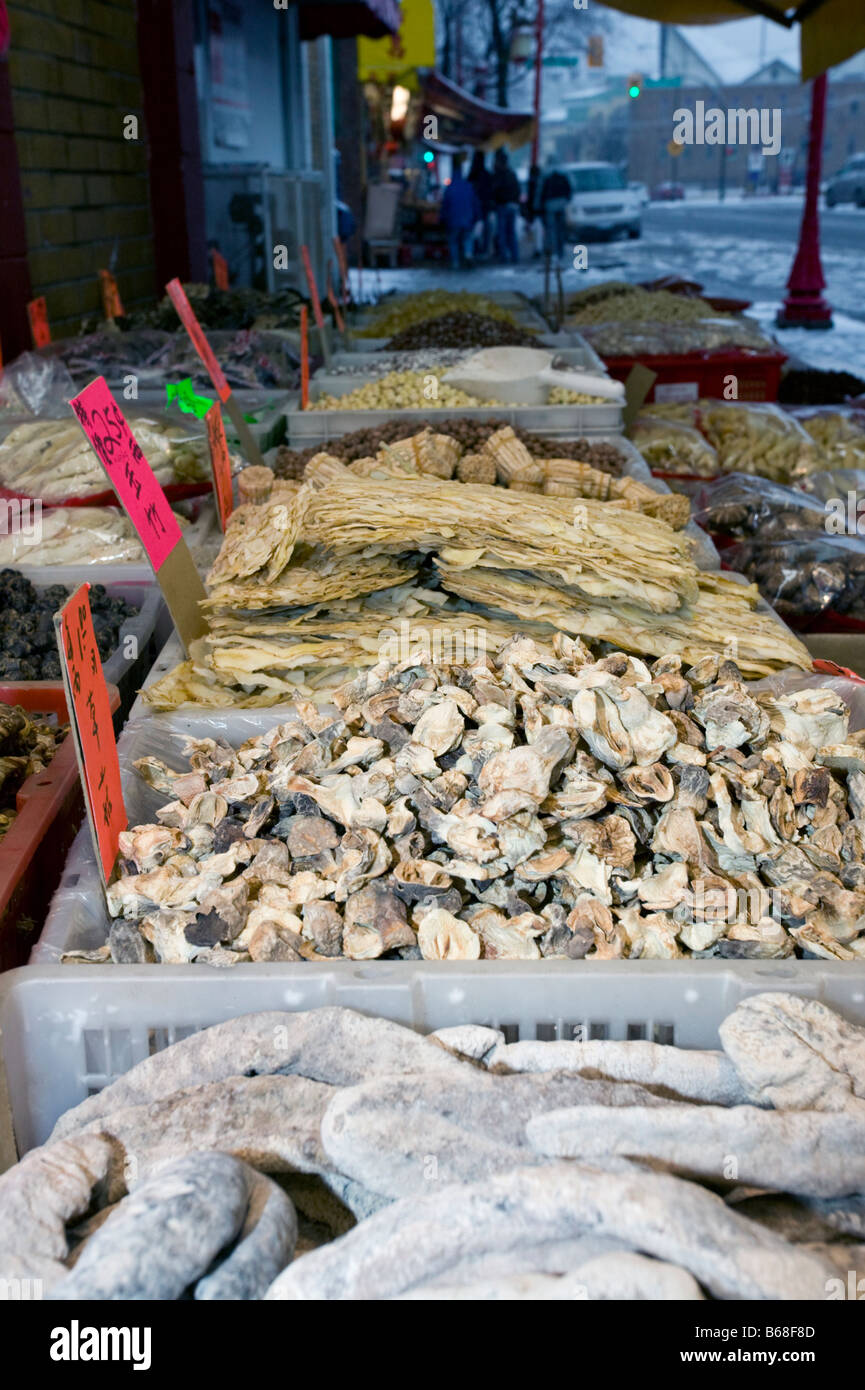 Is It Allowed To Bring Dried Fish In Canada at Meagan Villela blog