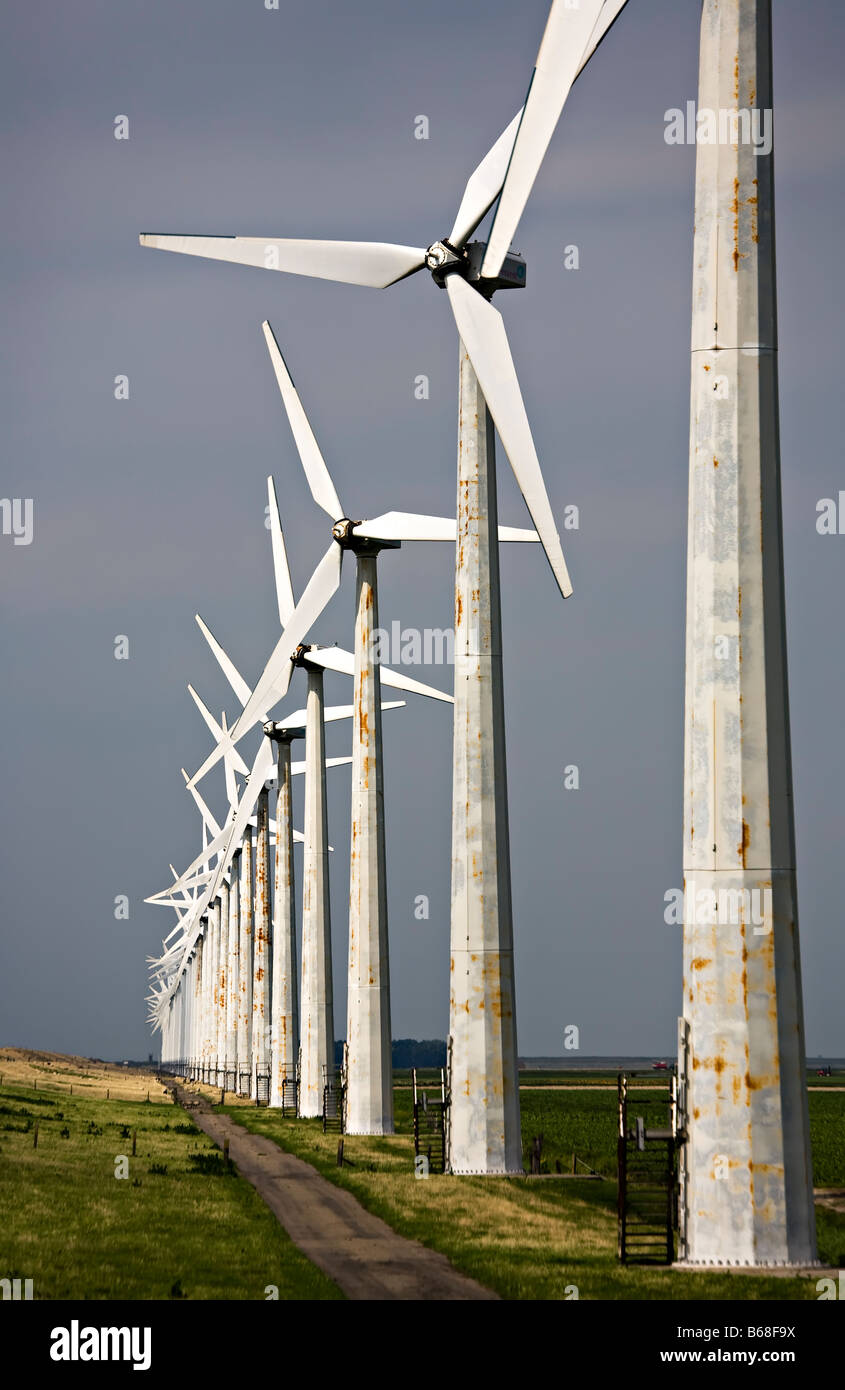 Wind turbines at Essent windpark Westermeerdijk Netherlands Stock Photo