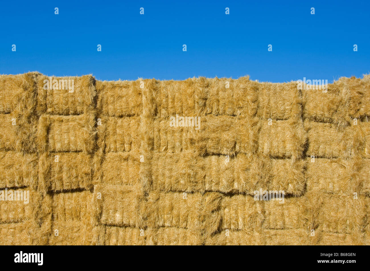 Hay bales stacked in a pile with blue sky above Stock Photo - Alamy