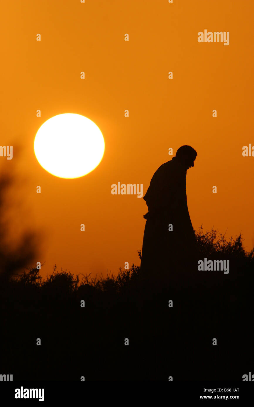Silhouette plant sunset silhouette hi-res stock photography and images ...