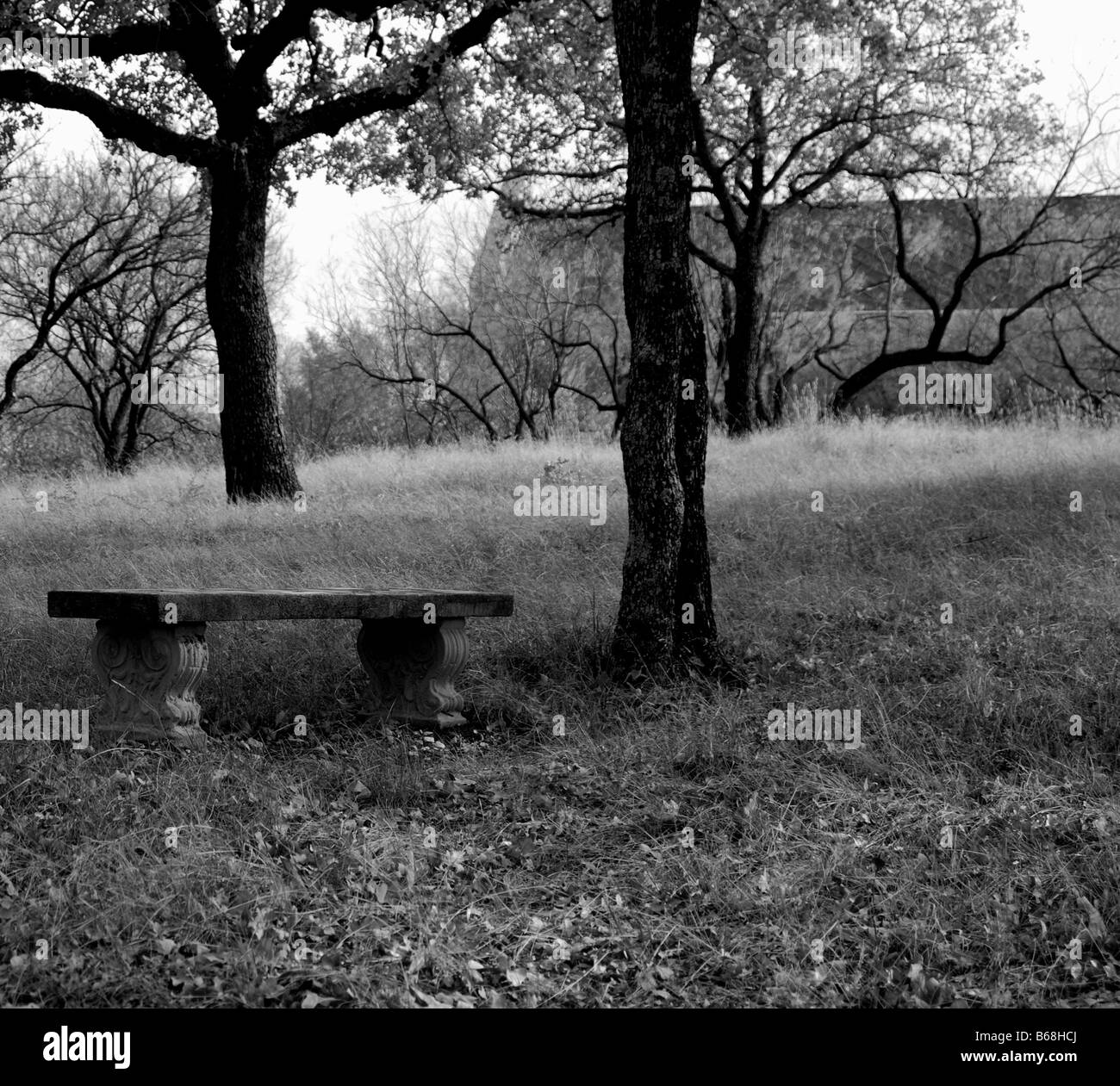 black and white image of an empty bench next to a tree Stock Photo