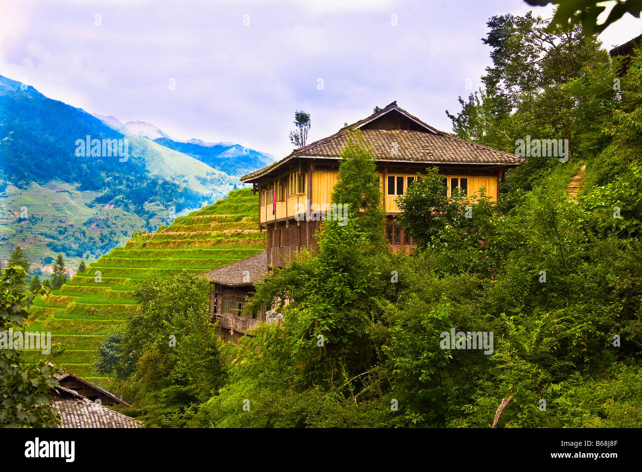 Trees in front of a house, Jinkeng Terraced Field, Guangxi Province, China Stock Photo