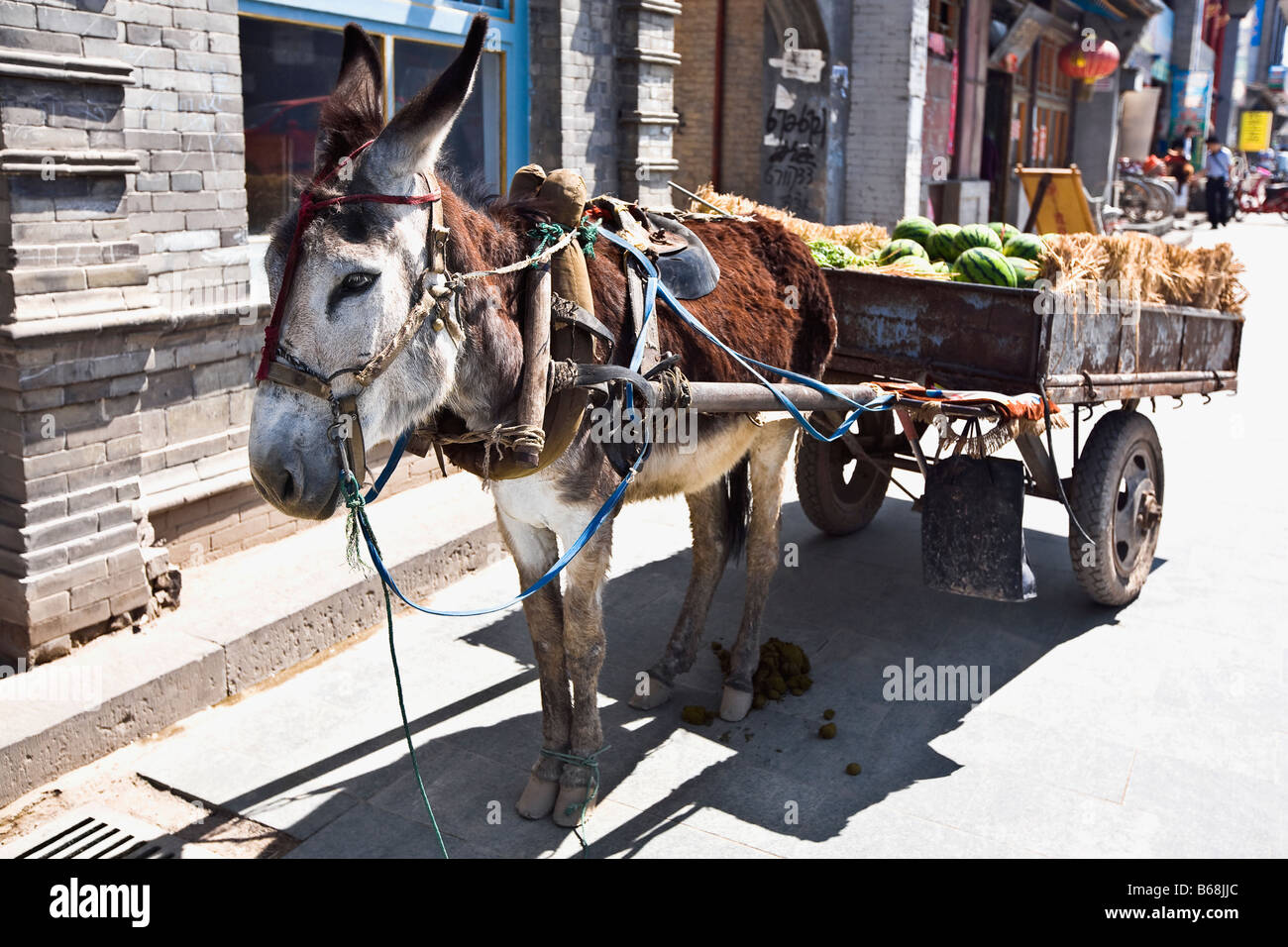 Donkey cart in a street, HohHot, Inner Mongolia, China Stock Photo