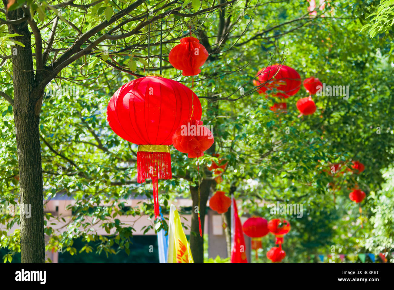 Paper lantern hanging on trees hi-res stock photography and images - Alamy