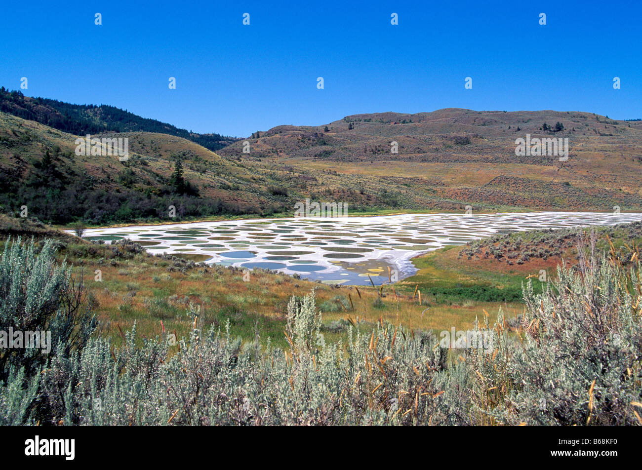 Spotted Lake is a Mineral Lake near Osoyoos in the South Okanagan Valley of British Columbia Canada Stock Photo