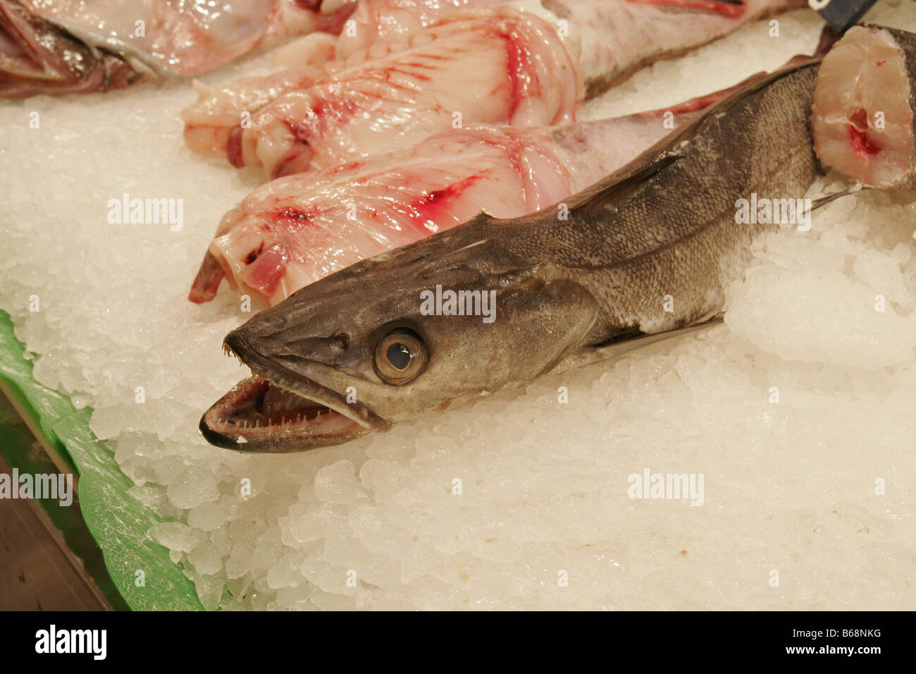 Fisch hi-res stock photography and images - Alamy