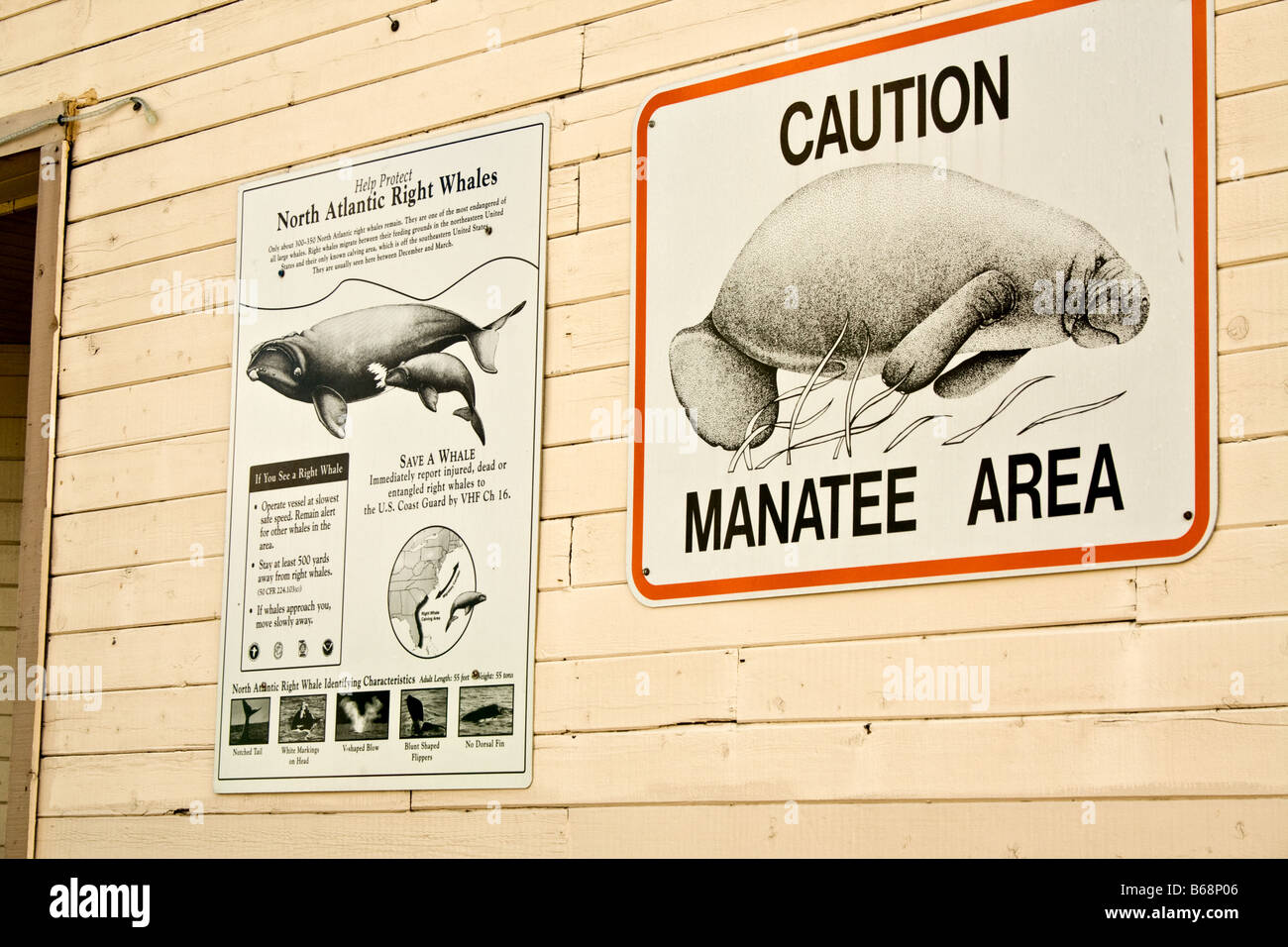 North Atlantic Right Whale and Manatee area warning sign on the side of a building Stock Photo