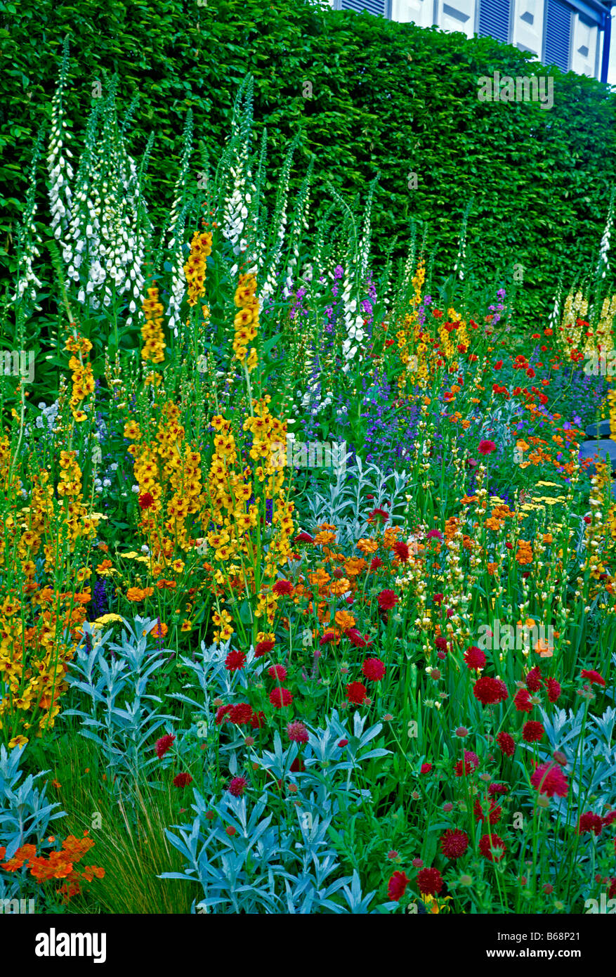 Colourful Garden Border at Chelsea Stock Photo