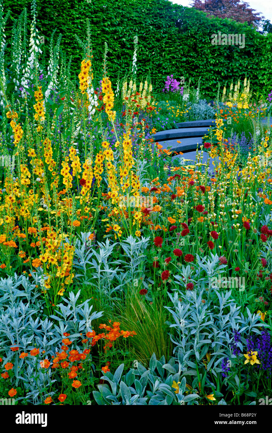 Colourful and full garden border Stock Photo