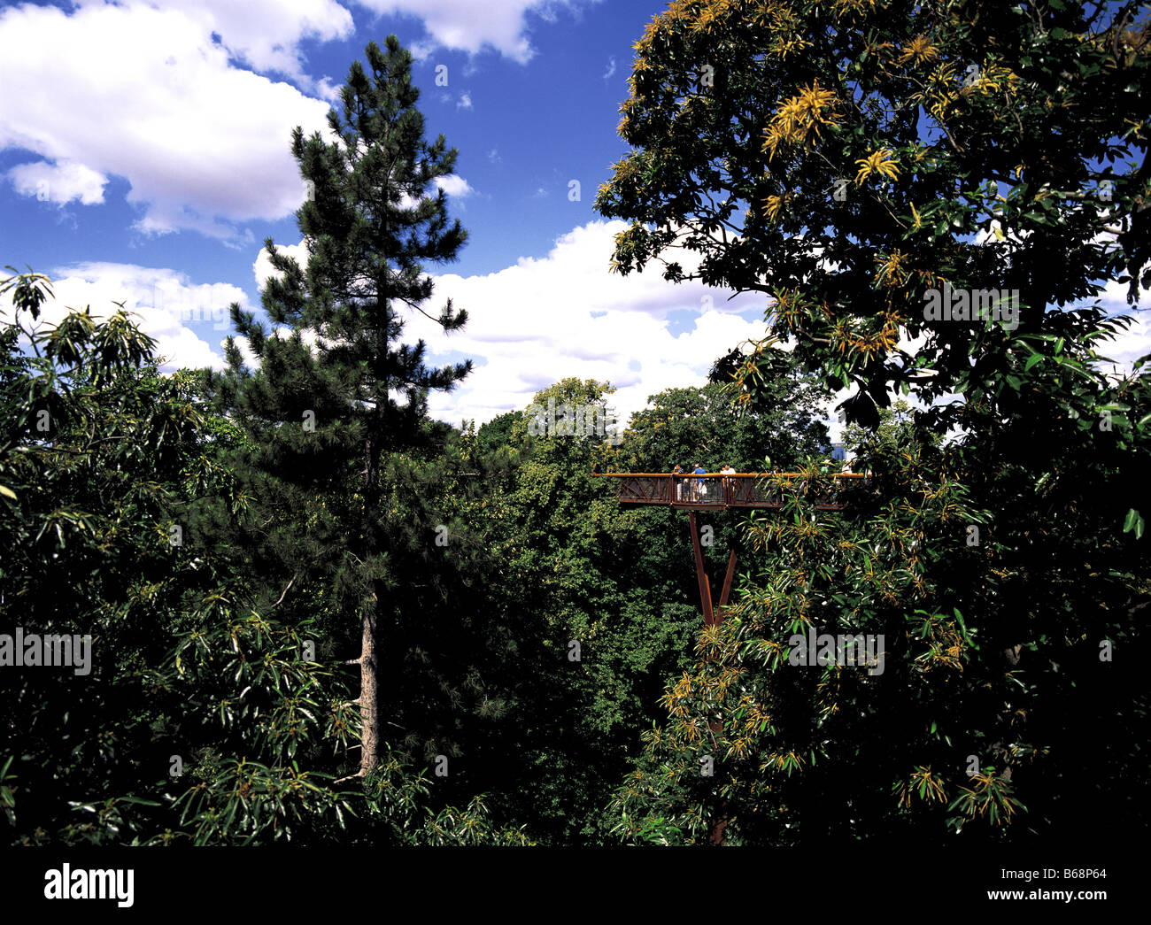 Rhizotron and Xstrata Treetop Walkway at Royal Botanical Gardens Kew Richemond London England Stock Photo