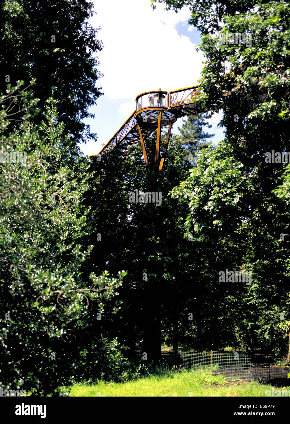 Rhizotron and Xstrata Treetop Walkway at Royal Botanical Gardens Kew Surrey England Stock Photo