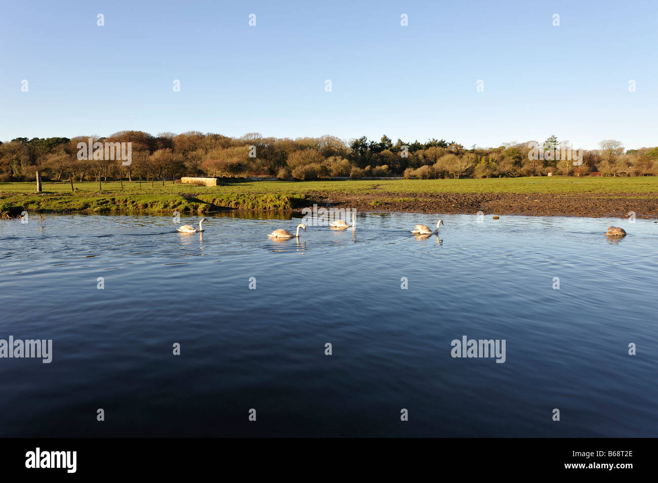 ogmore by sea wales river Stock Photo Alamy