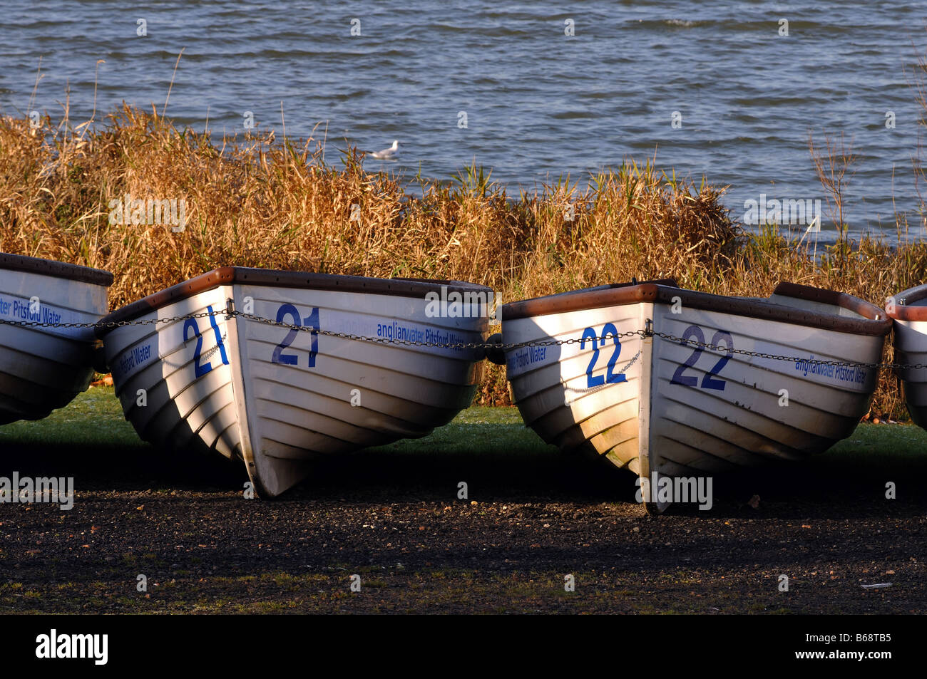 Trout fishing boats at Pitsford Water, Northamptonshire, England, UK