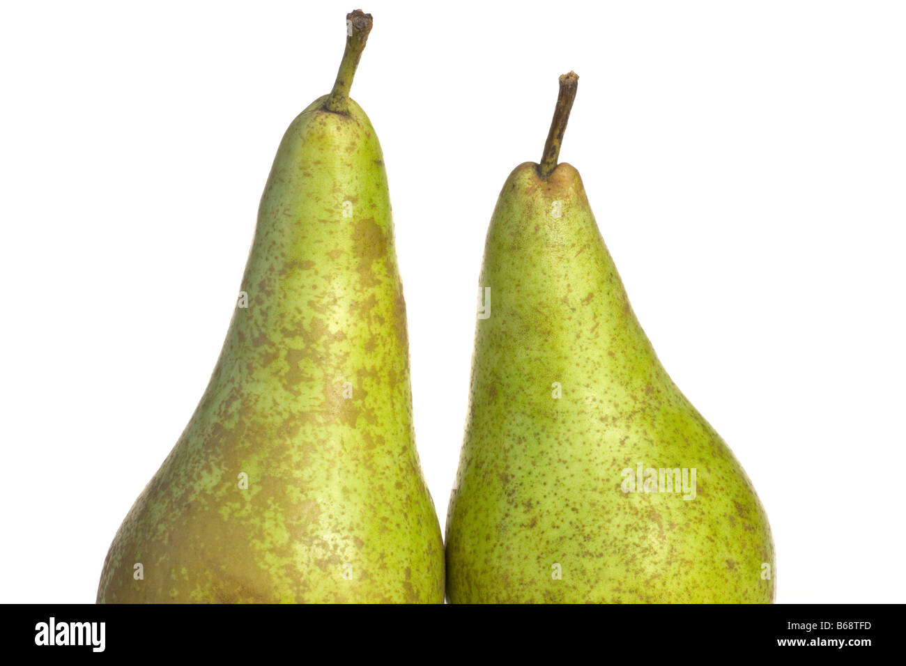 A pair of Conference Pears Stock Photo Alamy