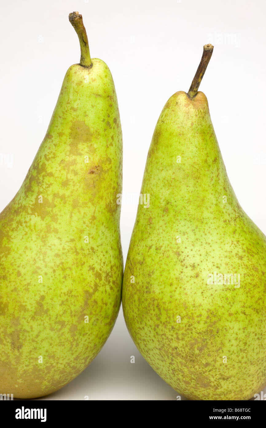 A pair of Conference Pears Stock Photo Alamy