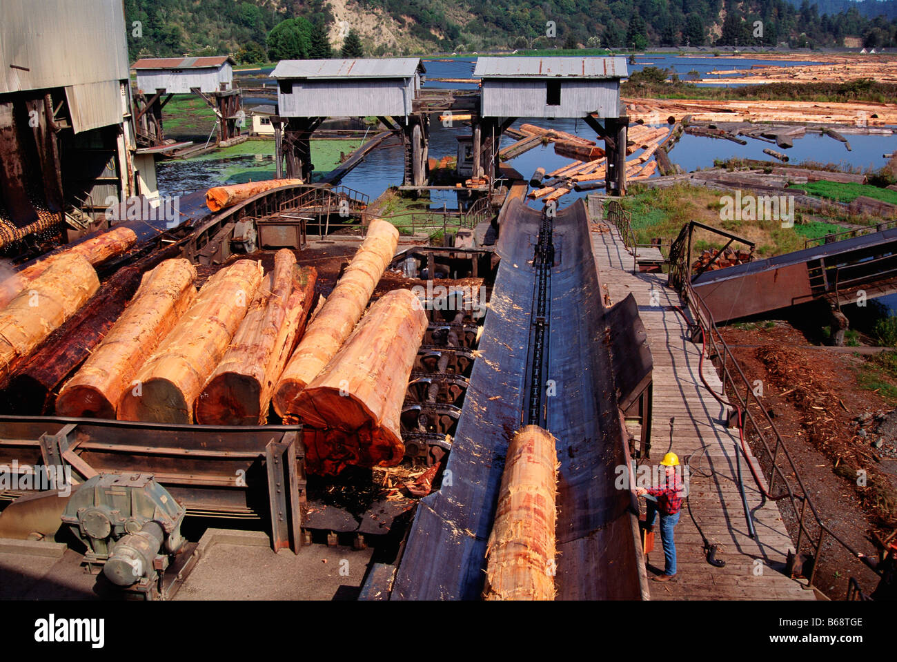 Lumber Mill with Worker in foreground, Scotia, CA Stock Photo