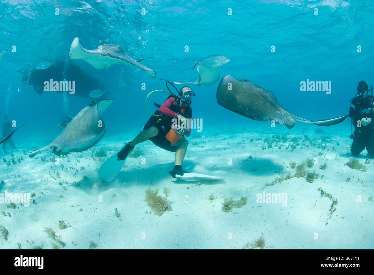 Cayman Islands Grand Cayman Island MR Underwater view of Scuba divers