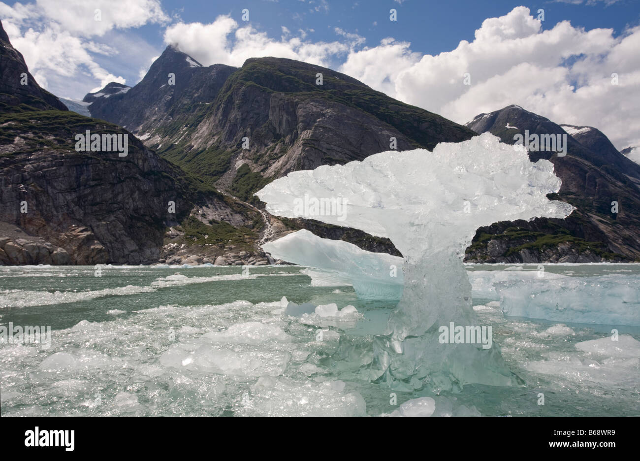 USA Alaska Tongass National Forest Tracy Arm Fords Terror Wilderness Oddly shaped cebergs floating near face of Dawes Glacier Stock Photo