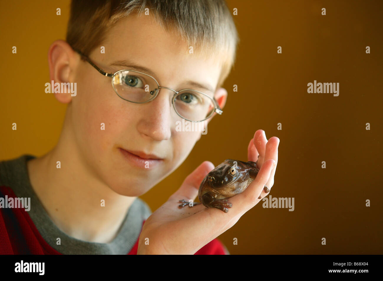 Boy with Pet Tropical Frog Stock Photo