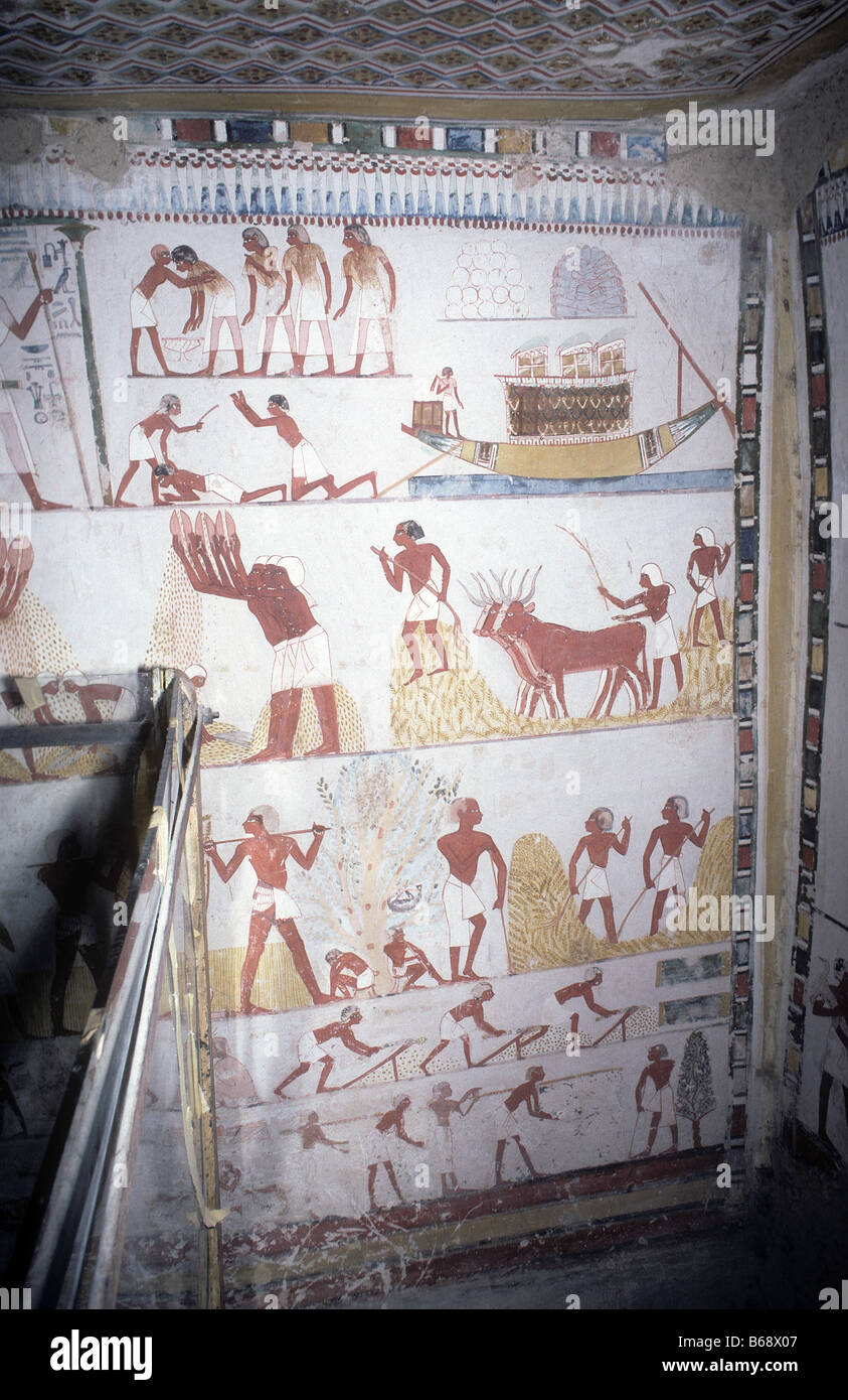 Wall painting in tomb of Menna an 18th dynasty scribe and inspector of estates in all of Egypt Tombs of the nobles West Bank Lux Stock Photo