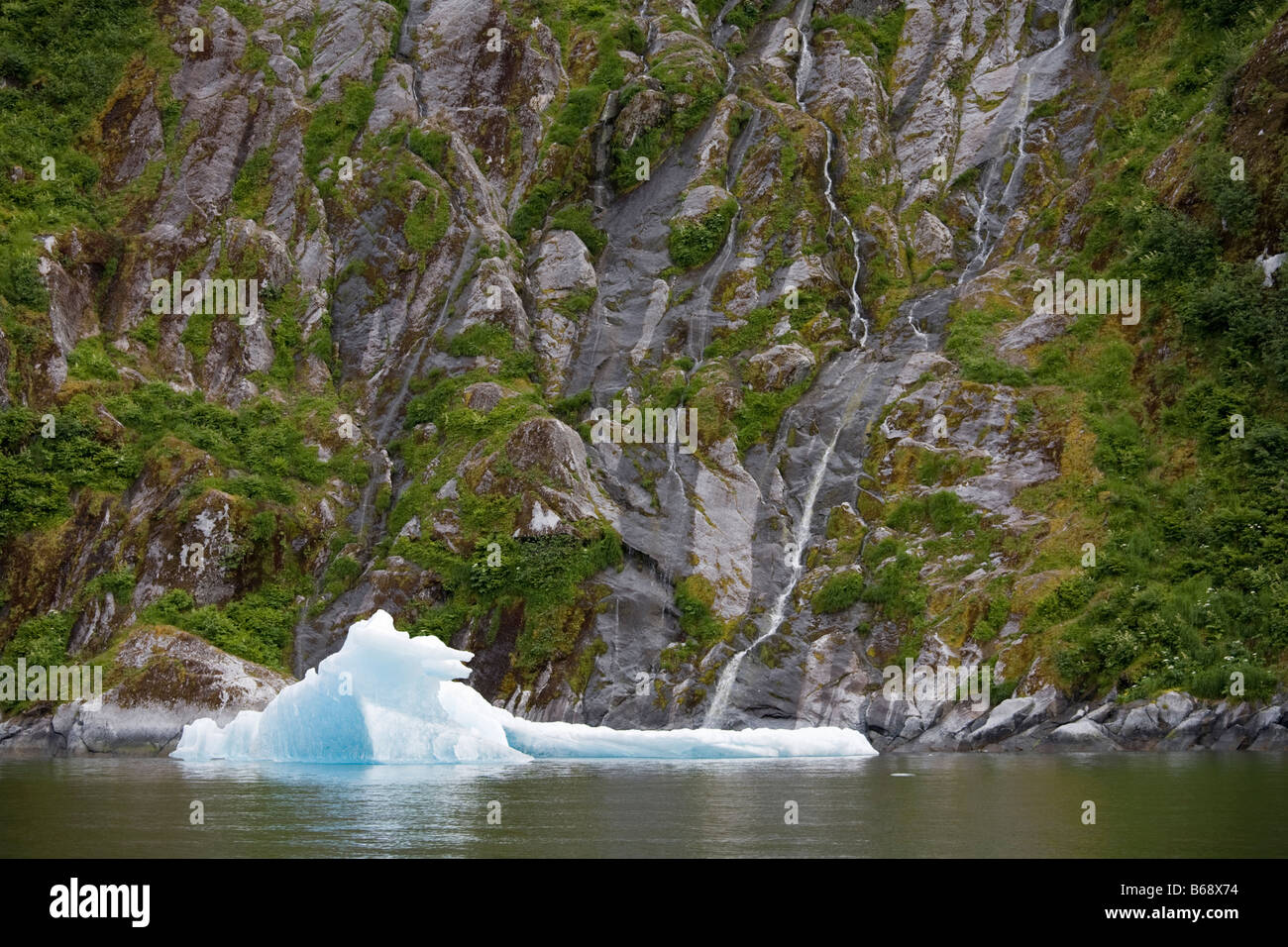 USA Alaska South Sawyer Fords Terror Wilderness Blue iceberg from South Sawyer Glacier in Holkham Bay Stock Photo